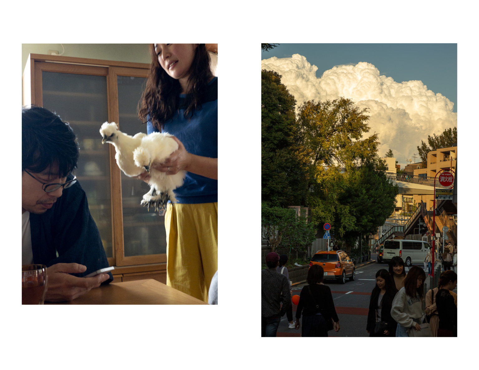 My Japan 201922