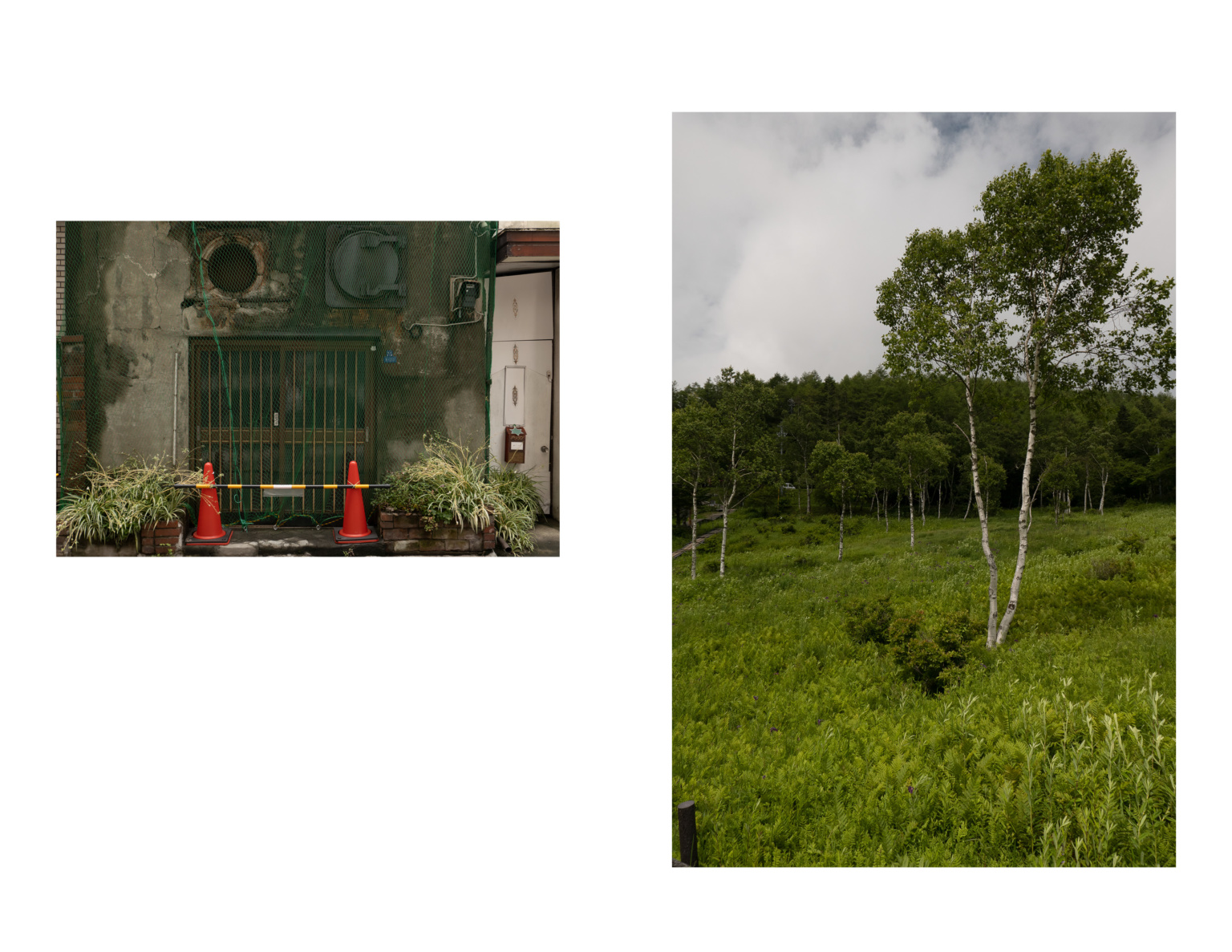 My Japan 201923