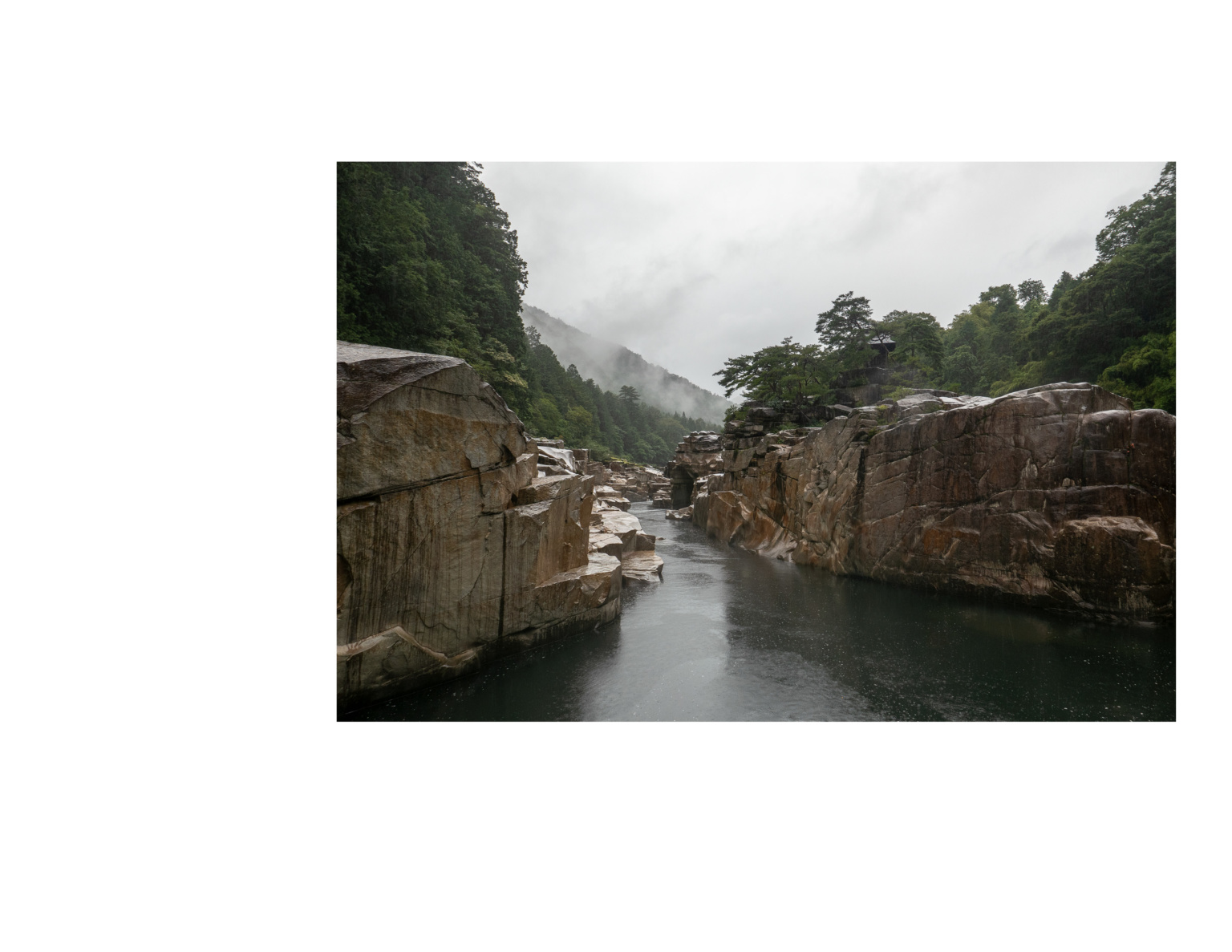 My Japan 20195