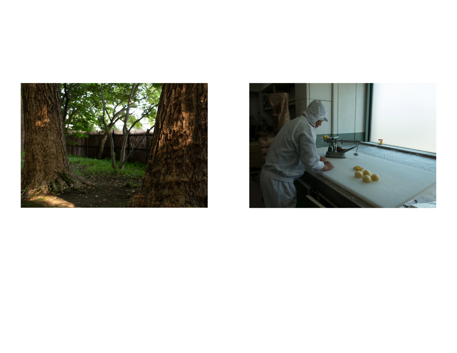 My Japan 20198